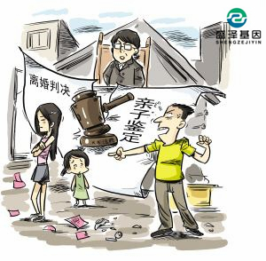 親子鑒定該不該背婚姻失敗的鍋？