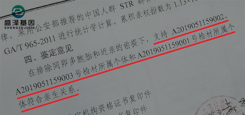 DNA親子鑒定報告究竟長啥樣？怎么看？