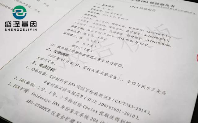 鑒定人如何看懂親子鑒定報(bào)告書上的基因分型數(shù)據(jù)和結(jié)論？