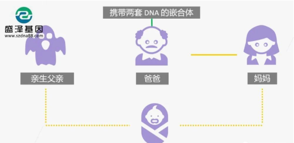 醫(yī)學(xué)怪病奇美拉現(xiàn)象：親自生未必是親生？你身體還住著另一個(gè)人？