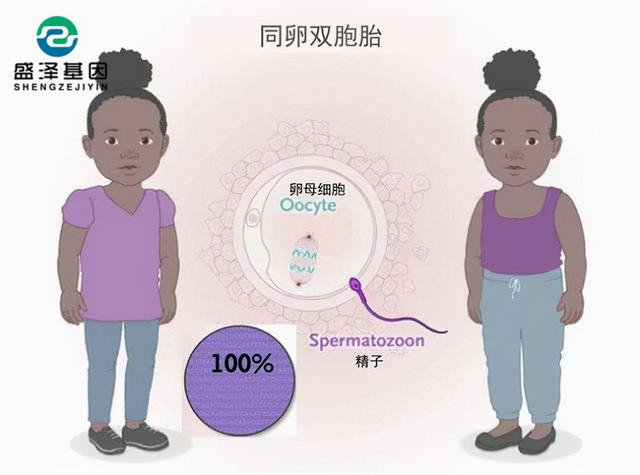 廣東男子做親子鑒定，竟發(fā)現(xiàn)自家雙胞胎有一個不是自己的？！