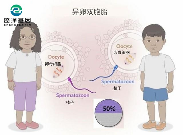 廣東男子做親子鑒定，竟發(fā)現(xiàn)自家雙胞胎有一個不是自己的？！
