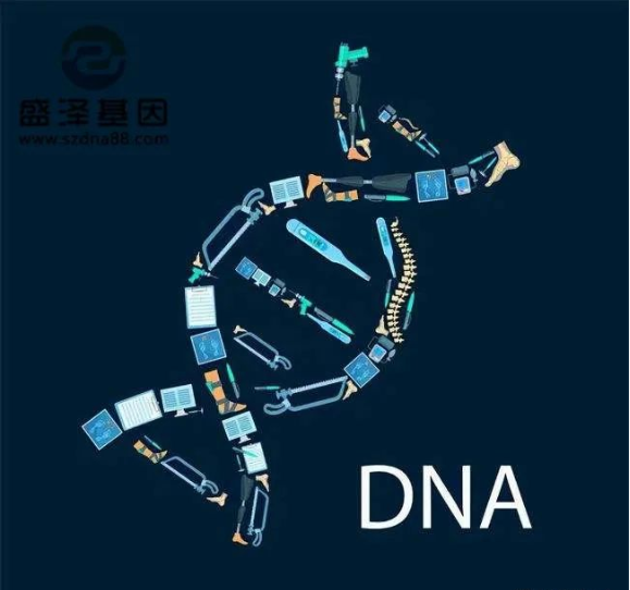 醫(yī)學(xué)怪病奇美拉現(xiàn)象：親自生未必是親生？你身體還住著另一個(gè)人？
