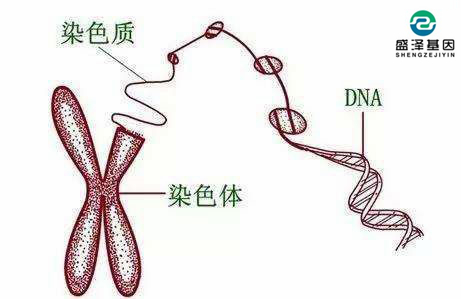 個(gè)人隱私親子鑒定可以保密嗎？怎么選擇司法親子鑒定機(jī)構(gòu)？
