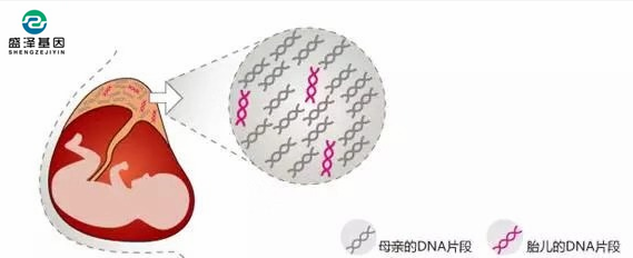 中山隱私親子鑒定所：?jiǎn)窝燮せ蚍蚱弈苌鲭p眼皮寶寶嗎？