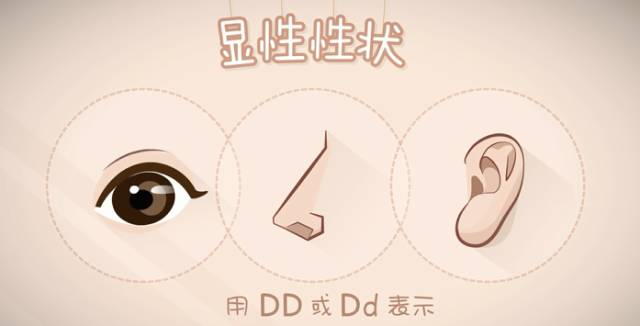 親子鑒定到底是個(gè)啥？怎么個(gè)鑒定法？