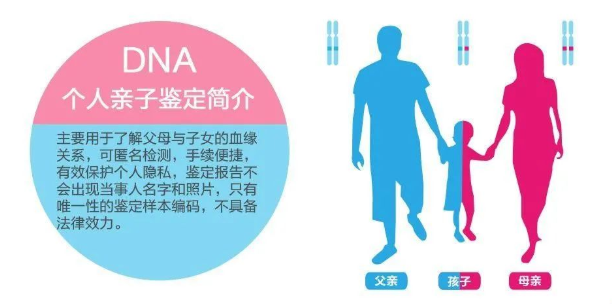 中山東區(qū)司法親子鑒定中心給客戶做親子鑒定準(zhǔn)確率如何？