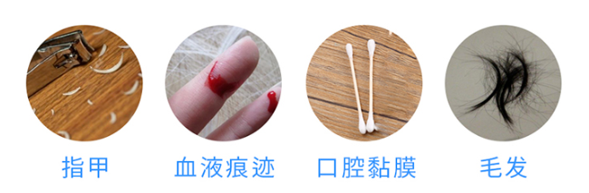 懷孕多久可以做無(wú)創(chuàng)胎兒親子鑒定樣本采集？