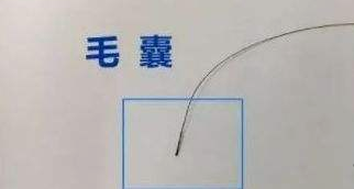 隱私親子鑒定自己一人能完成樣本采集嗎？