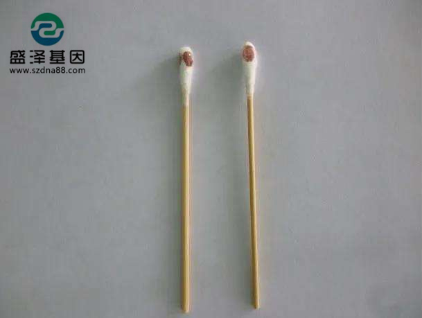 棉簽上的血其實就是血痕樣本，親子鑒定一般的載體的選擇有采血卡