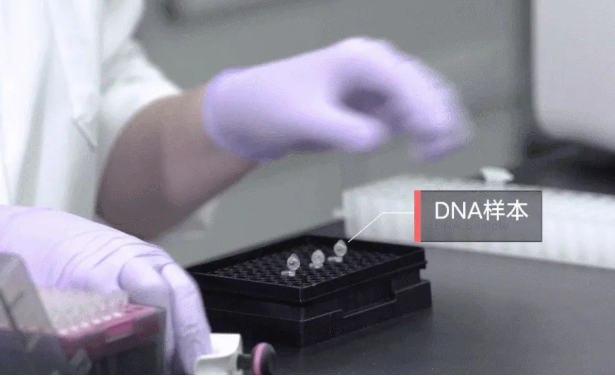 孩子不像丈夫怎么采集親子鑒定樣本確認關(guān)系？需要幾個工作日？