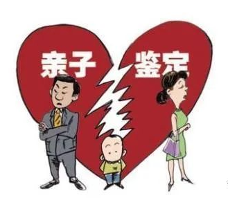 司法親子鑒定辦理流程有哪些？效力如何？
