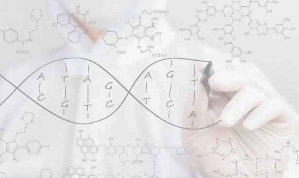 掉落的毛囊毛發(fā)可以拿去做染色體親子鑒定嗎？
