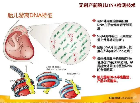 孕期做胎兒親子鑒定合適嗎？孕期有哪些胎兒親子鑒定方法？
