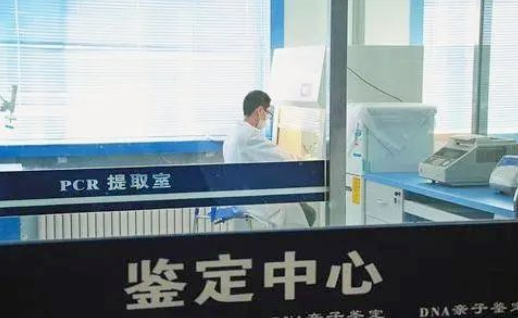 親子鑒定證明非婚生子法院會判決離婚嗎？可以要求過錯方賠償嗎？