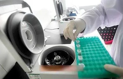 指甲是否含有DNA，可作為親子鑒定樣本嗎？