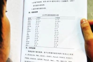 對隱私親子鑒定承擔(dān)法律責(zé)任，不讓親子鑒定成“傷害婚姻鑒定”