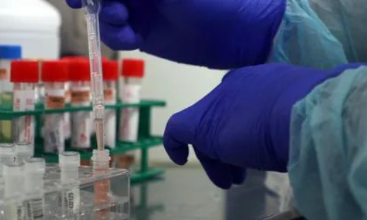 除了血液人的唾液能做親子鑒定嗎？能親子鑒定人的遺傳病史嗎？