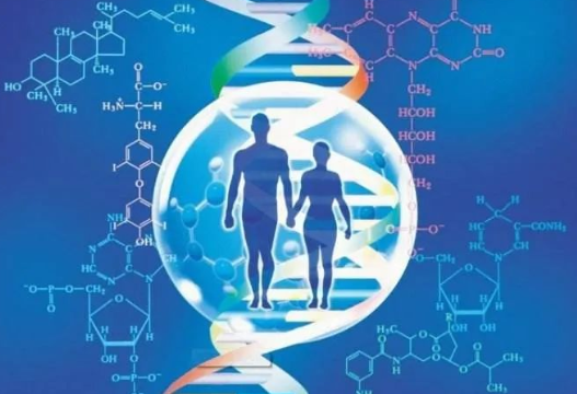 男方要求做親子鑒定的情況增多，是西方文化與傳統(tǒng)道德觀點的碰撞