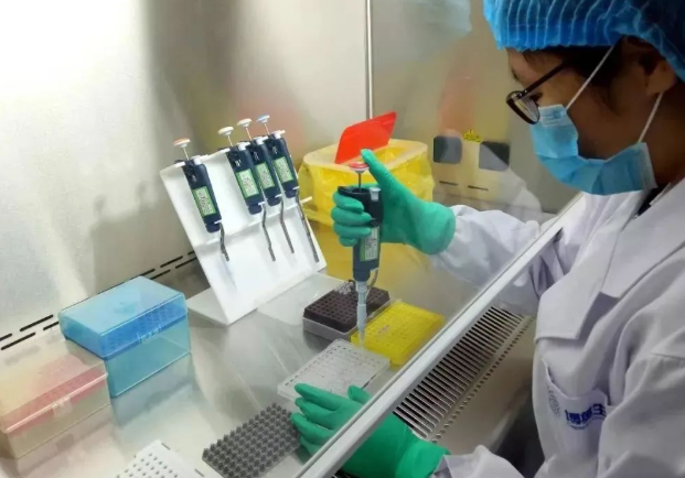 剪下來的頭發(fā)沒有毛囊可以做親子鑒定樣本嗎？
