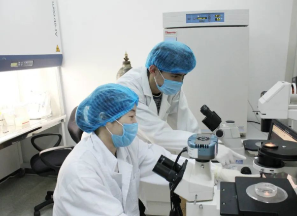 親子鑒定可以驗(yàn)證妻子忠貞度，也可以給孩子上戶口