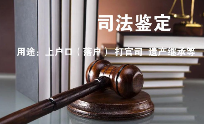 隱私親子鑒定與司法親子鑒定，到底怎么選？