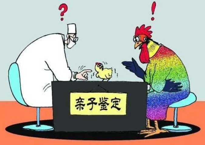 親子鑒定人數(shù)逐年上升，透過現(xiàn)象看本質(zhì)：親子鑒定折射信任危機