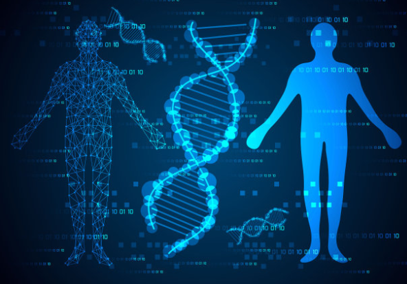 個(gè)人委托做中山胎兒親子鑒定所需樣本介紹