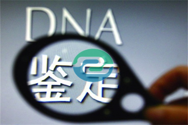 中山DNA 親子鑒定可以在哪里進(jìn)行？