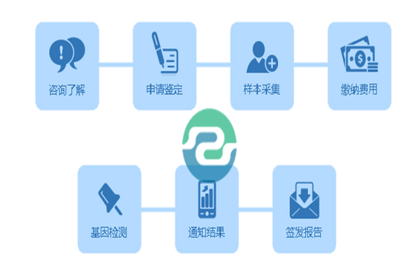 中山親子鑒定需要哪些信息？