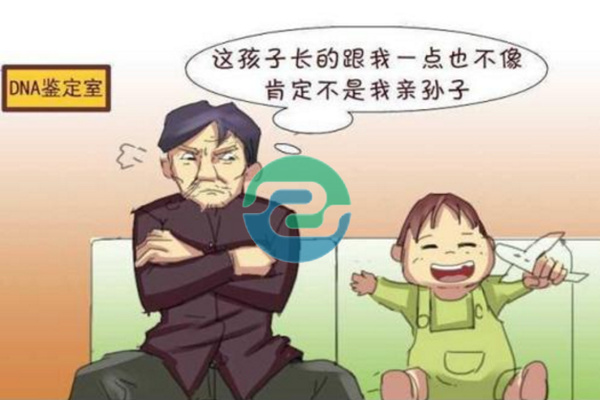 中山正規(guī)的親子鑒定需要多少錢？地址在哪？