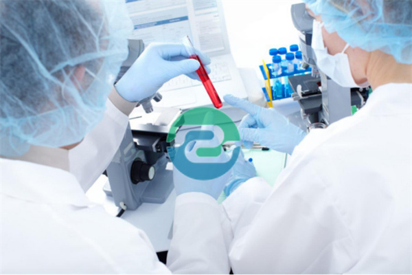 中山司法親子鑒定的特點(diǎn)是什么？盛澤基因