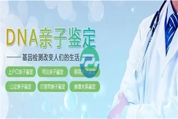 中山親子鑒定分兩種，材料差別很大！