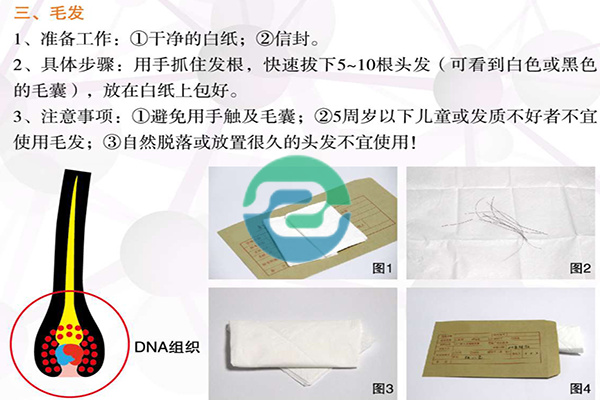 如何委托中山個人親子鑒定？用頭發(fā)怎么做親子鑒定？