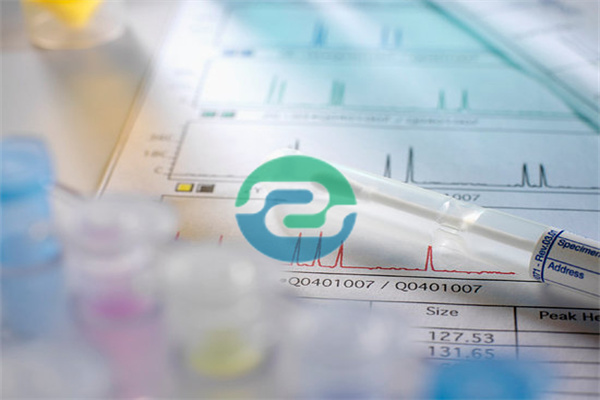 中山親子鑒定怎么做？中山親子鑒定多少錢？