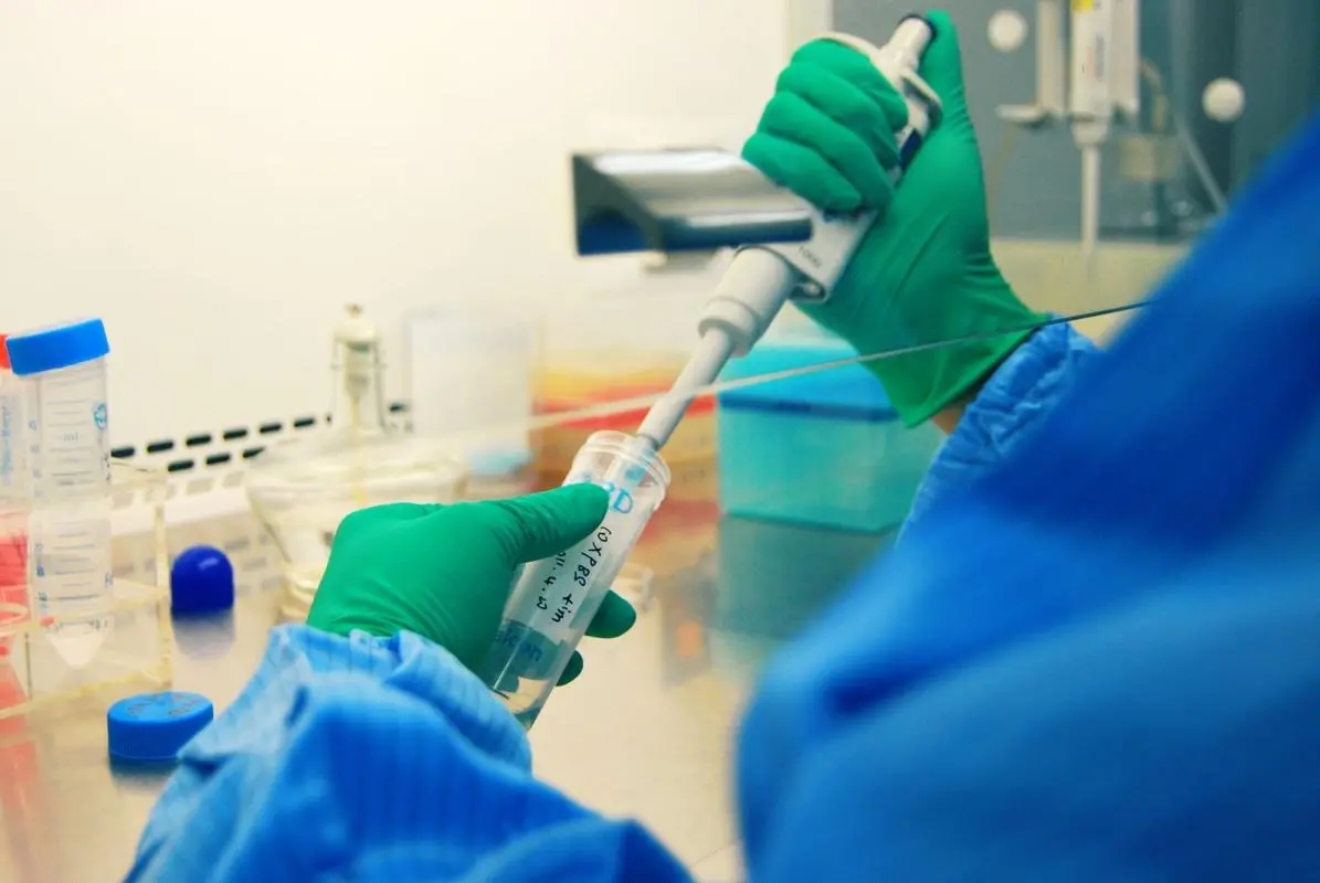 中山哪里做親子鑒定？中山親子鑒定要怎么辦理？