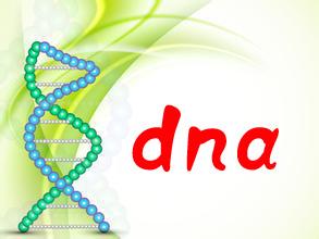 中山在哪里做戶口親子鑒定？戶口親子鑒定前需要做的準備