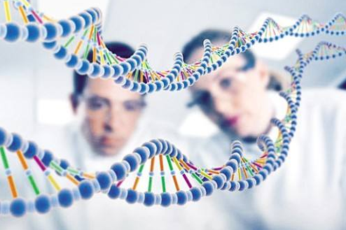 試管嬰兒可以做中山親子鑒定嗎？