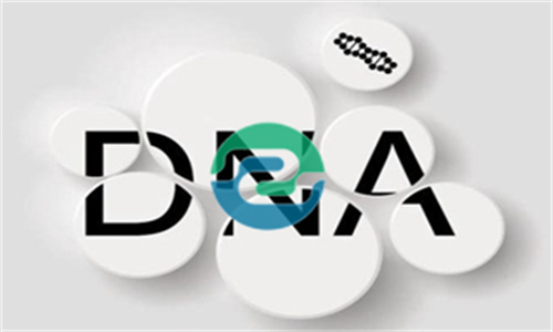 專家如何判斷中山親子機(jī)構(gòu)是否有資質(zhì)？