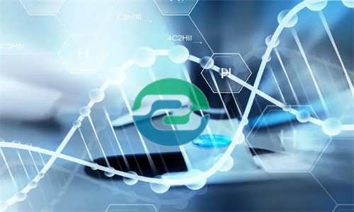 中山的DNA親子鑒定價格受哪些因素的影響？