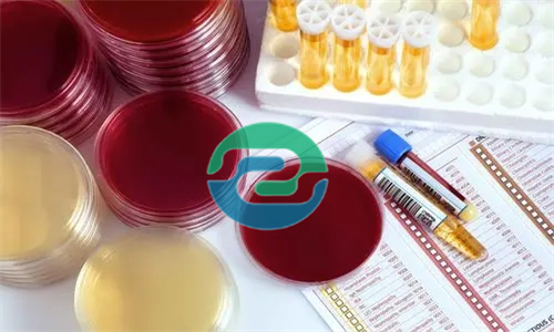 在中山做胎兒親子鑒定需要哪些證件？如何預(yù)約？