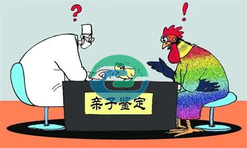 中山匿名親子鑒定結(jié)果如何收費？收費會不會更貴一些？