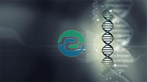 中山親子鑒定的費用是多少？影響價格的因素是什么？