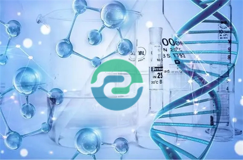中山司法親子鑒定在哪里進行呢？