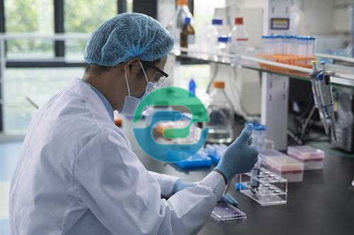 中山親子鑒定的過程麻煩嗎？