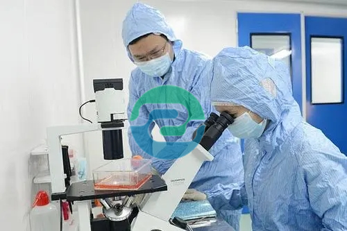 中山親子鑒定要花多少錢呢？什么因素影響價格？