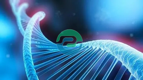 中山親子鑒定的費用是多少？需要什么？