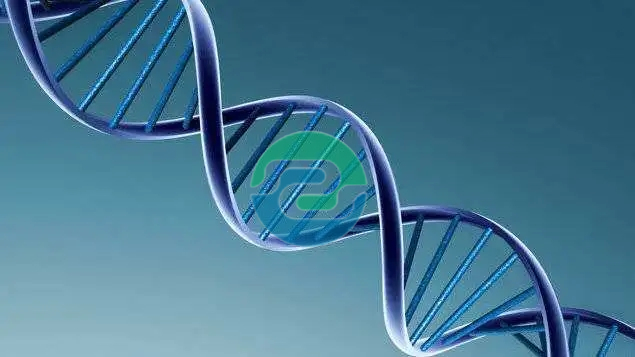 中山親子鑒定的價(jià)格不是固定的？盛澤基因