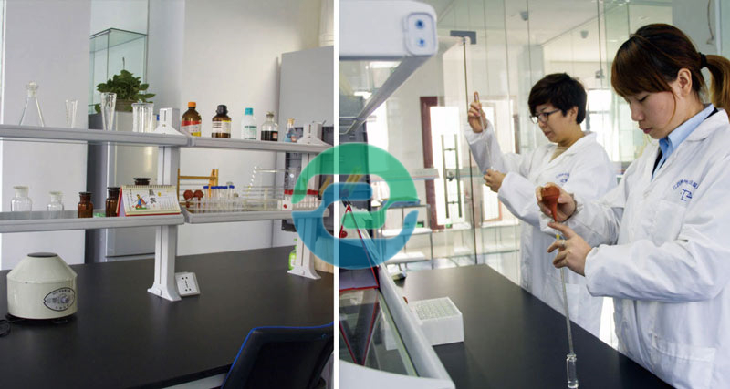 中山親子鑒定是多少錢??？中山親子鑒定辦理各種方法？