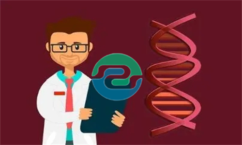 中山私人親子鑒定價格，中山匿名親子鑒定怎么辦？